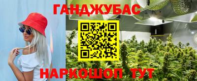 эйфоретик Ливны
