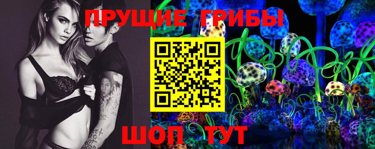 Чусовой  Псилоцибиновые грибы Cubensis  Вход с VPN 